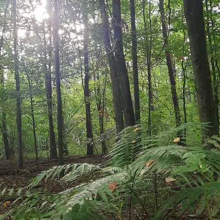 Mazury 别墅 Kalduny